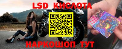 прущие грибы Пыть-Ях