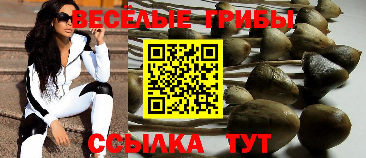 Псилоцибиновые грибы прущие грибы Россия