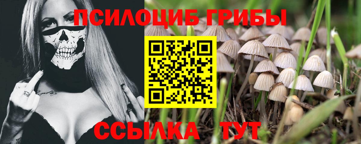 МЕФ   A-PVP СК   Россия  ГАШ  Марихуана  Cocaine  Вход с VPN 